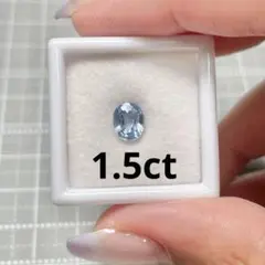 ダッチローズ様 リクエスト 2点 まとめ商品