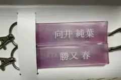 櫻坂46 向井純葉 勝又春 キーホルダー