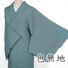 【未使用品】色無地　一つ紋 2025年最新】着物 色無地 一つ紋の人気アイテム - メルカリ