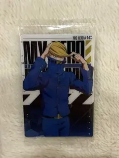 PRO HERO ベストジーニスト カード 14