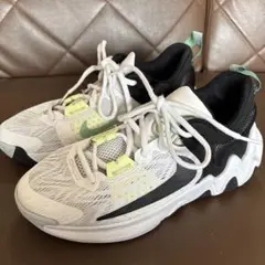 NIKE ヤニス　イーモタリティ バッシュ 23cm