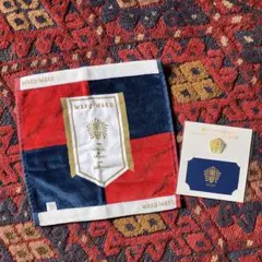 嵐のワクワク学校 ハンドタオル ピンバッジ カード セット