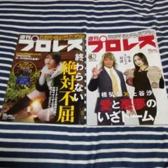 Item thumbnail for item f9de83f3-296a-4589-8c81-ae7656461943