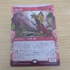 Item thumbnail for item e517e98b-3e53-4501-8554-1a426490680a