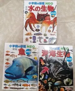 小学館の図鑑NEO 3冊セット 水の生物 魚 深海生物　DVD無し