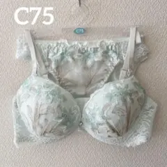 新品 ブラジャー ショーツ セット C75 L ミントグリーン 緑 可愛い