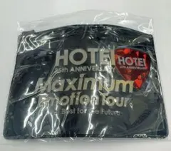 布袋寅泰 クッション 美品 ライブ グッズ HOTEI B.C. ONLY +1 2024」オフィシャルグッズ販売決定！ beat crazy