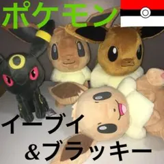 【ポケモン】イーブイ、ブラッキーのぬいぐるみ