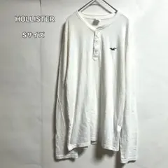 HOLLISTER ホリスター メンズ白 長袖Tシャツ カモメ刺繍 Sサイズ