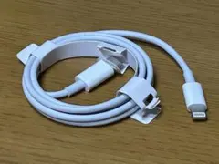 Apple Lightningケーブル ホワイト USB TypeC