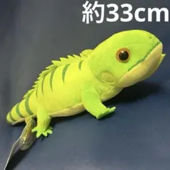2025年最新】イグアナ ぬいぐるみの人気アイテム - メルカリ