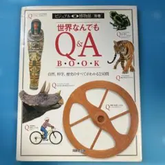世界なんでもQ&A BOOK