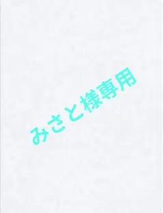 みさと様 リクエスト 2点 まとめ商品