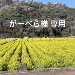 がーべら様 リクエスト 6点 まとめ商品