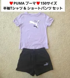 PUMA ラベンダー Tシャツ & 黒ショートパンツ セットアップ 150サイズ
