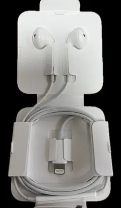 イヤホン Lightningケーブル