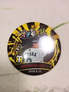 9月21日 阪神タイガース イチオシ缶バッチ 大山悠輔選手