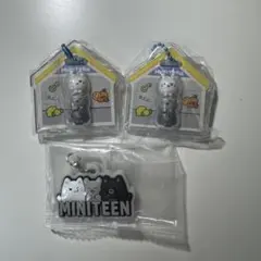 【公式】MINITEEN ジュンのサムネイル