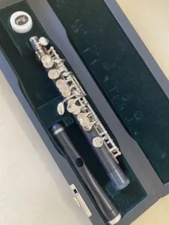 Item thumbnail for item 18dff4c0-9959-4ccc-b800-5e5fb2f6e2c0