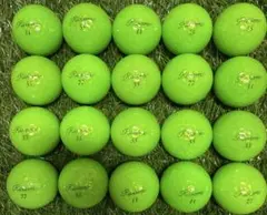 Item thumbnail for item 17aafb86-42a5-4a52-9af9-2937d63ed5a9