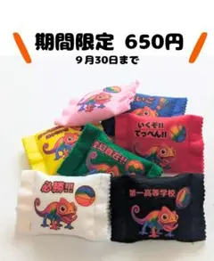 部活お守り　カメレオン　フェルトおまもり必勝祈願　オーダーメイド