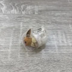 ポケモン　イーブイ　ガチャガチャ