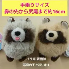 たぬぽんぽんLMC たぬき マスコット ぬいぐるみ 2種セット - メルカリ