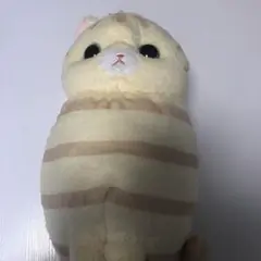 ハチワレのモリー　ミリー　ぬいぐるみ　茶トラ