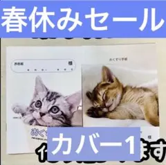 手帳2冊カバー1