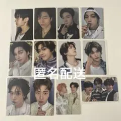 ゼベワン　メテュ　１２枚