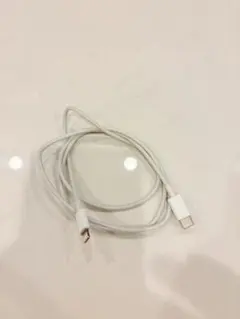 USB-C - Lightningケーブル 本体 100cm