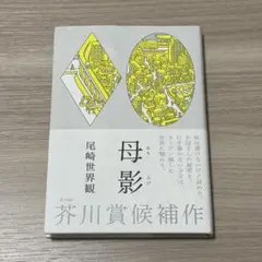 Item thumbnail for item 57ce6385-be9b-49f0-986b-4f0da58de159