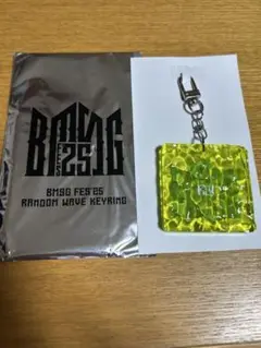 BMSG FES ランダムウェーブキーリング　RUI