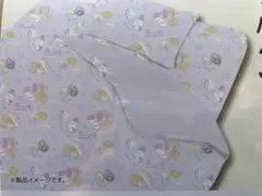 Item thumbnail for item 8792dc74-4e9e-4a22-95ee-9aeb0188cf5e