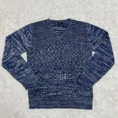 MICHEL KLEIN Vネック ニットセーター ブルー系 サイズ48 (L)