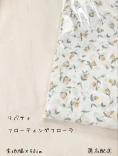 Item thumbnail for item 96968bb2-12b9-4587-9a4e-3c1464b5024f