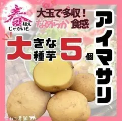 MM-2] メークイン M 1㎏ 【検査合格品】じゃがいも 種芋 - メルカリ