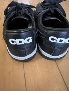 コムデギャルソン✖️NIKEレザースニーカー