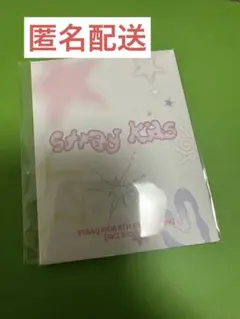 straykids スキズ ペンミ 5'clock ID フォト セット トレカ