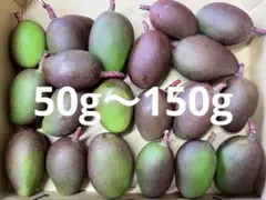 摘果マンゴー 10kg - メルカリ