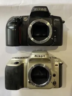 2026年最新】Nikon F50の人気アイテム - メルカリ