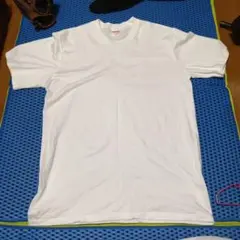 Item thumbnail for item 80ecd3d3-ca9a-47e0-b9b3-40d721bb64bf