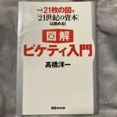 図解ピケティ入門 たった21枚の図で『21世紀の資本』は読める!