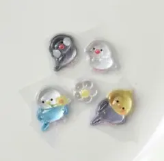 クーリア　正規品　ボンボンドロップシール　トリ　鳥　インコ