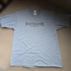 90s フルーツオブザルーム Lofteez ロゴTシャツ グレー XL