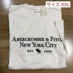 アバクロ　メンズ　Tシャツ