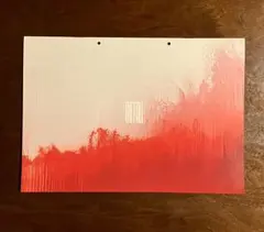 THE FALL / 落下の王国　パンフレット