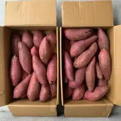 ミニー様ご専用