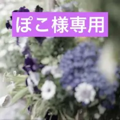 ぽこ様専用　購入ページのサムネイル