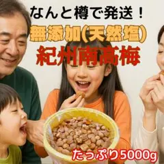 △産地直送 紀州南高梅5kg 梅 無添加 和歌山 紀州 白梅 1507 - メルカリ